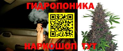 каннабис Кингисепп