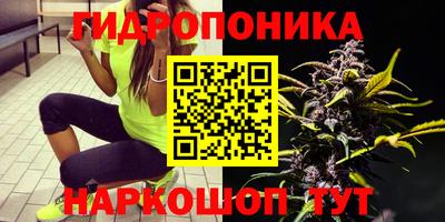 прущие крисы Кинель