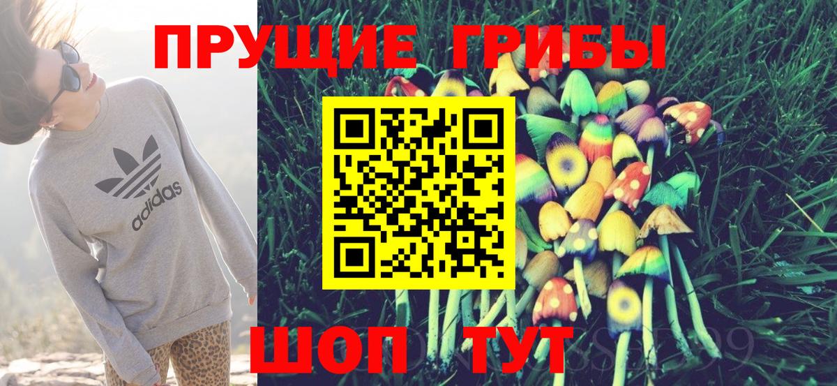 Псилоцибиновые грибы прущие грибы  Вход с VPN  Псилоцибиновые грибы ЛСД  Конаково 